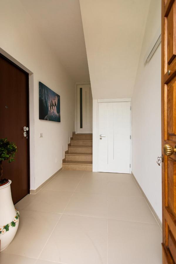 Diamond Apartment Agerola Dış mekan fotoğraf